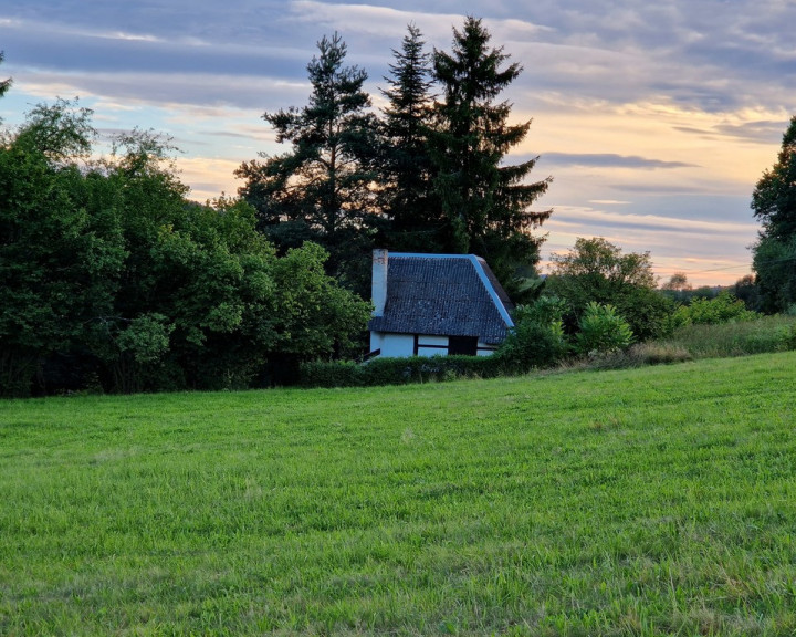 Działka Sprzedaż Włosań